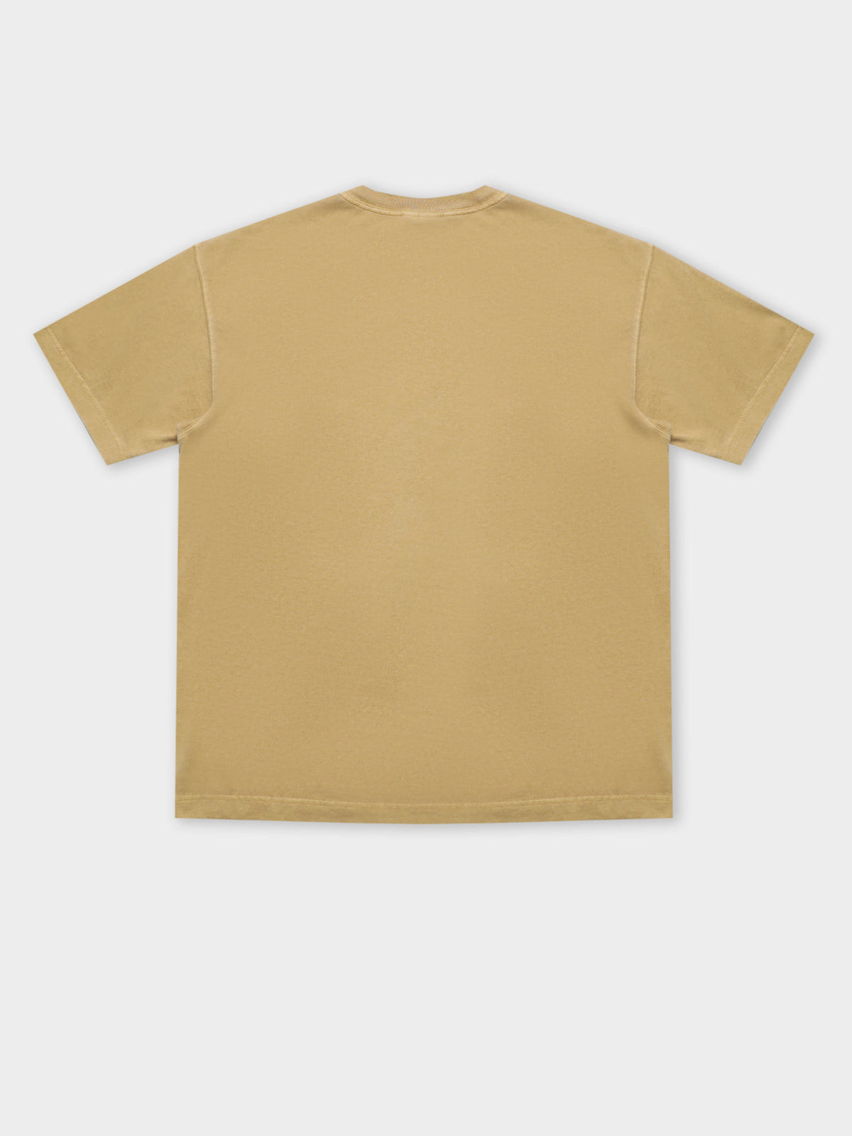 Carhartt Wip Nelson T-Shirt in Brown | Brown