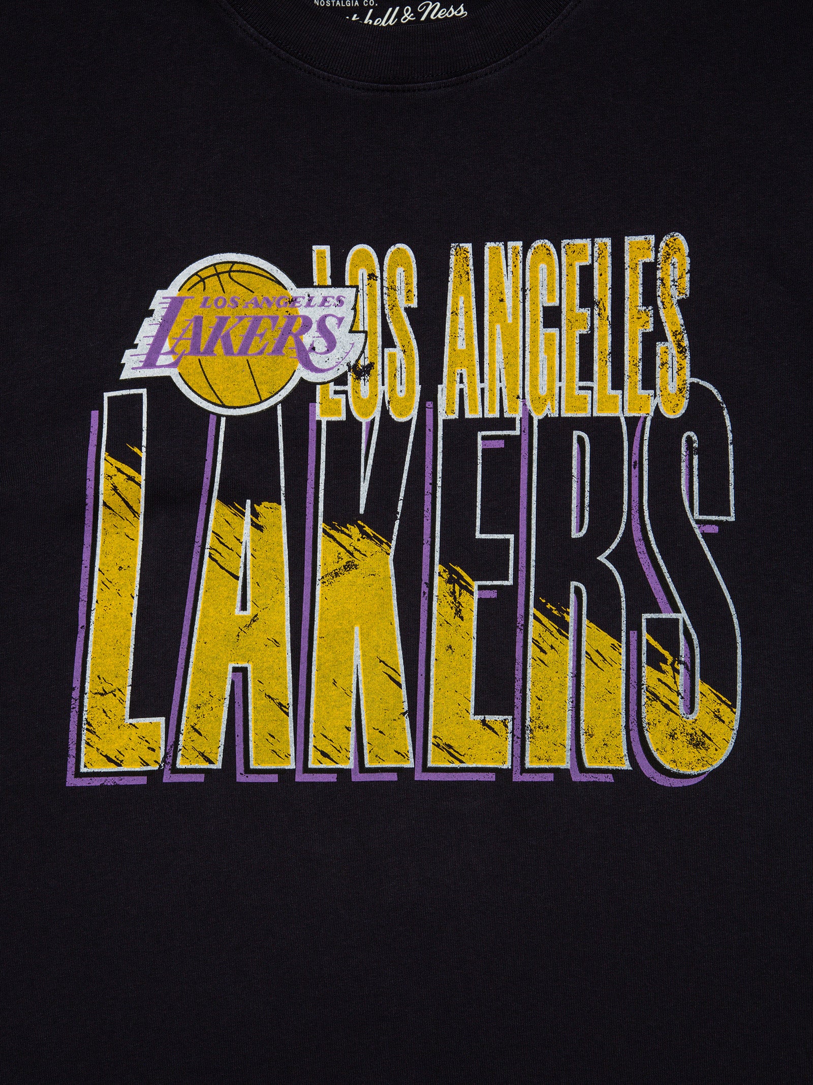 LA Lakers Vintage T-Shirt in Black - Glue Store