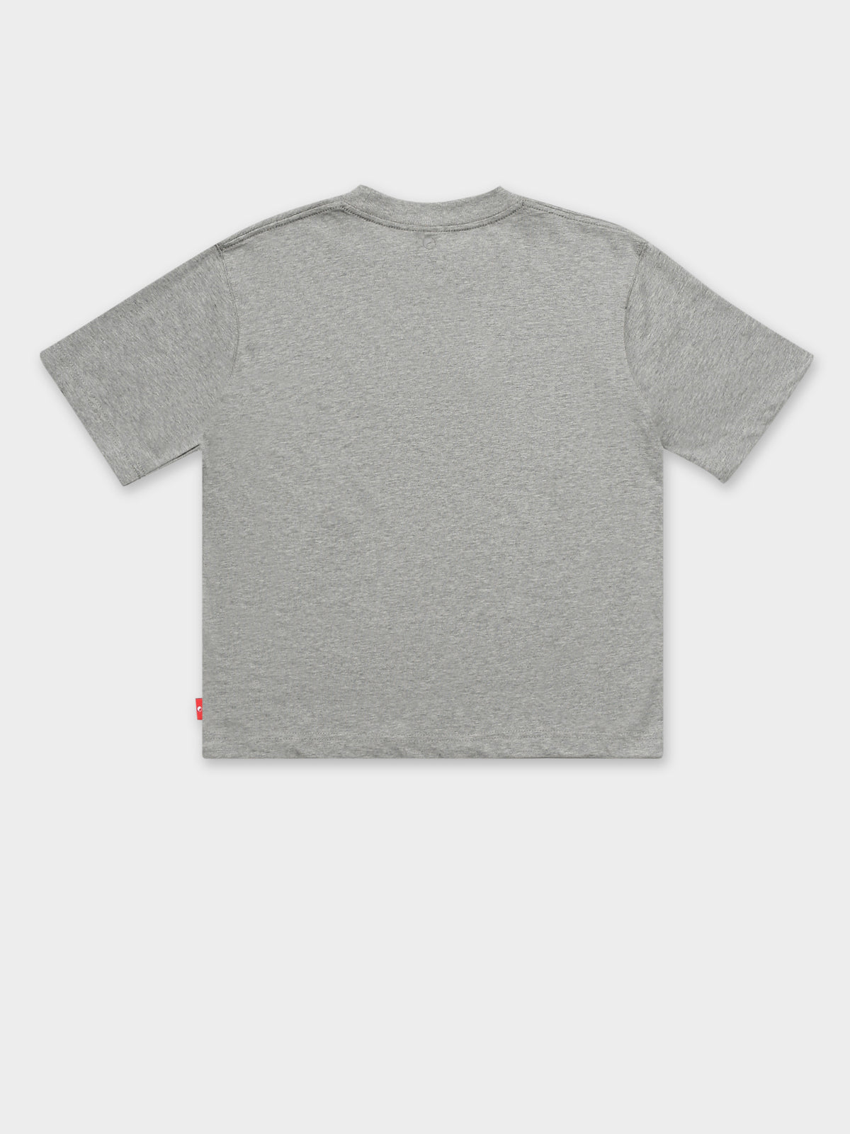 Worship Keep on Truckin Regular Fit T-Shirt in Grey Marle | Grey Marle