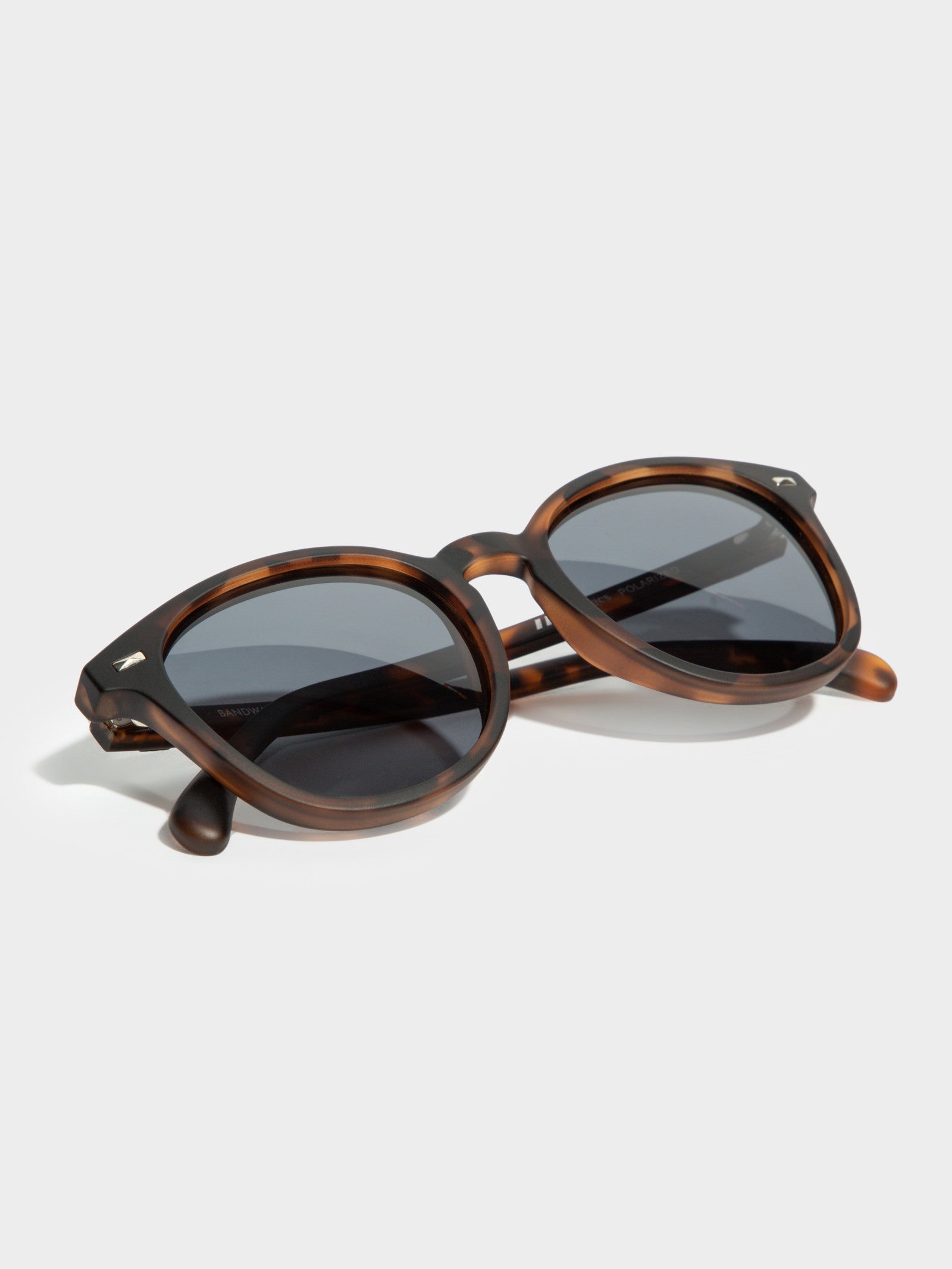 Bandwagon Sunglasses in Tortoise